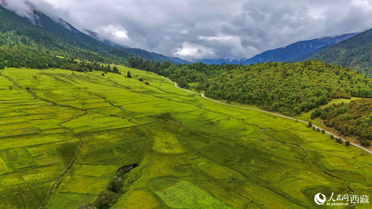 圖為航拍高山牧場鳥瞰圖。