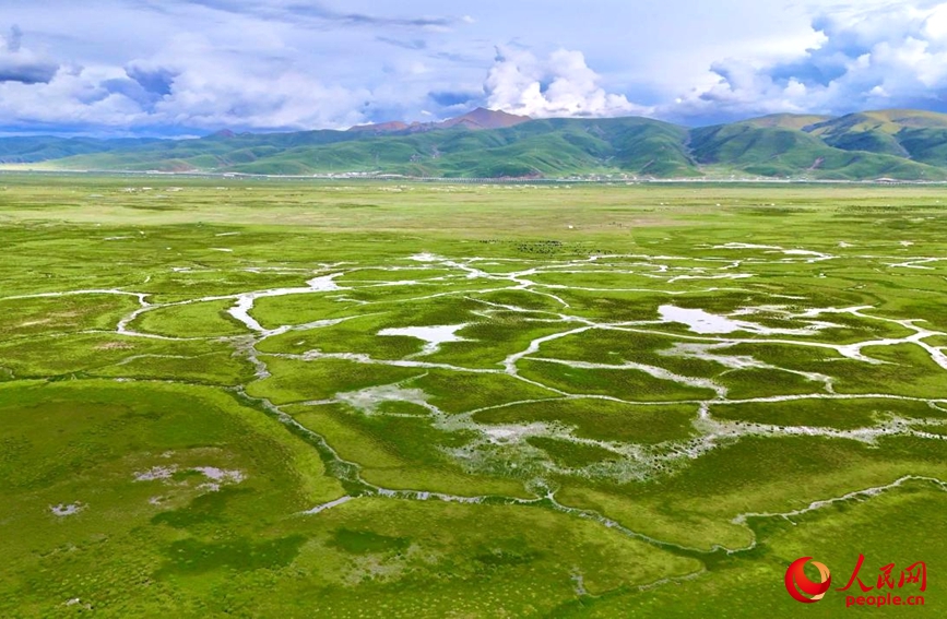 圖為當(dāng)雄縣阿熱濕地。人民網(wǎng)記者 次仁羅布攝