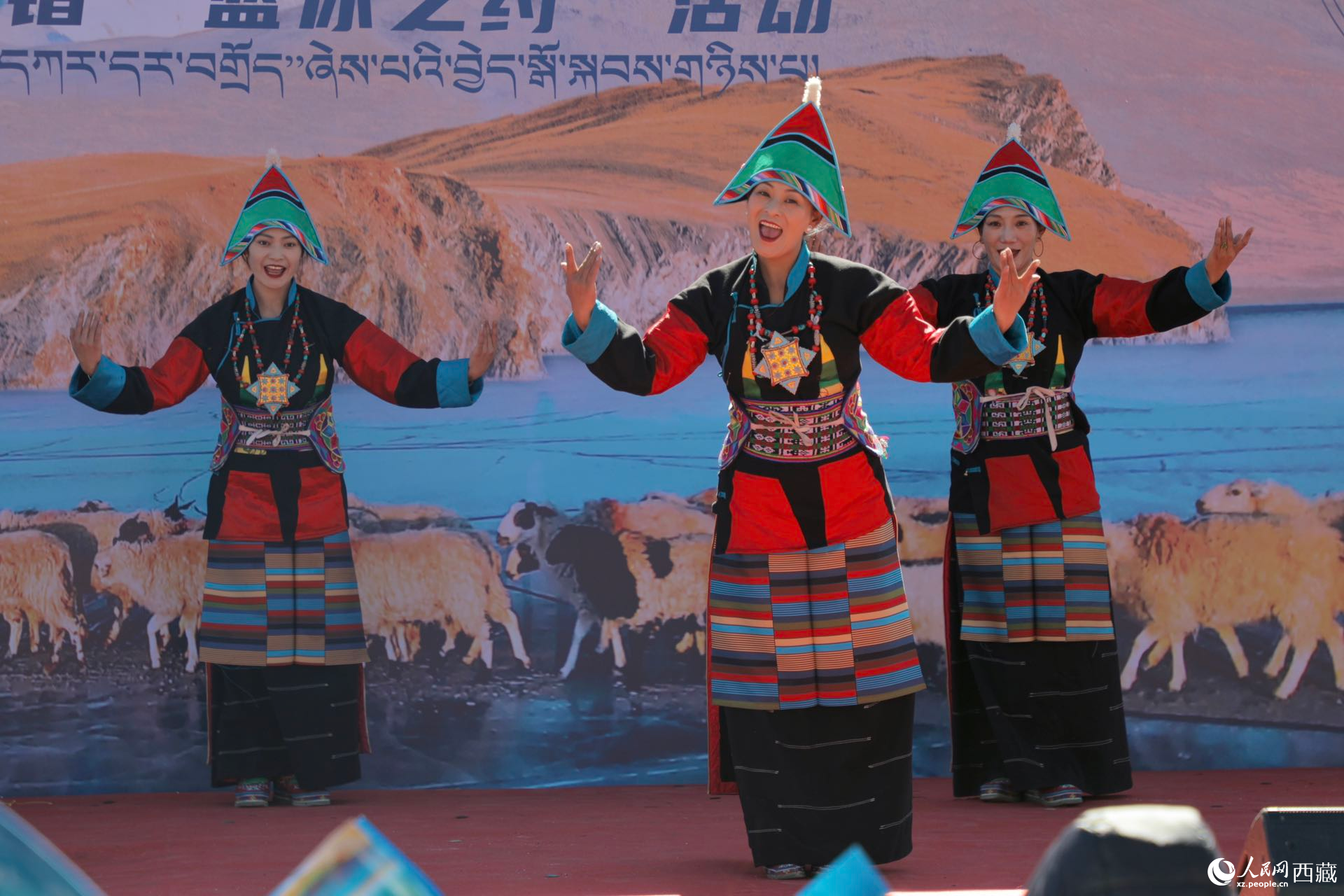 浪卡子縣藝術(shù)團(tuán)帶來的舞蹈《羊卓姑娘》。
