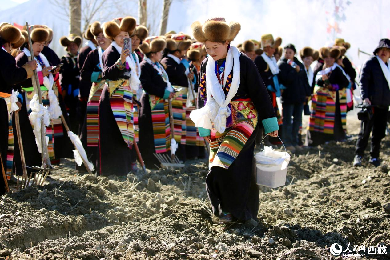 山南市乃東區(qū)門(mén)中崗社區(qū)春耕儀式現(xiàn)場(chǎng)。