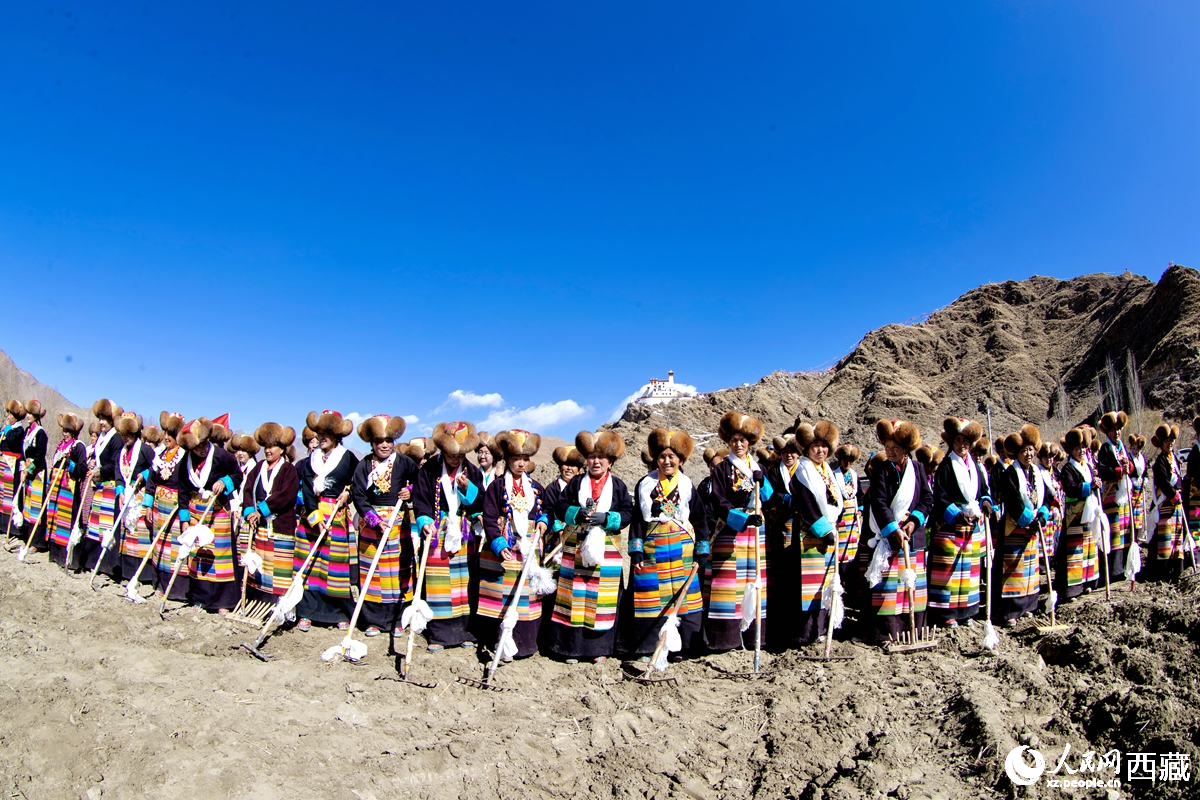 山南市乃東區(qū)門(mén)中崗社區(qū)春耕儀式現(xiàn)場(chǎng)。