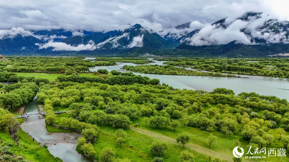鳥瞰盛夏季節(jié)的雅尼濕地風(fēng)光。人民網(wǎng)記者 次仁羅布攝