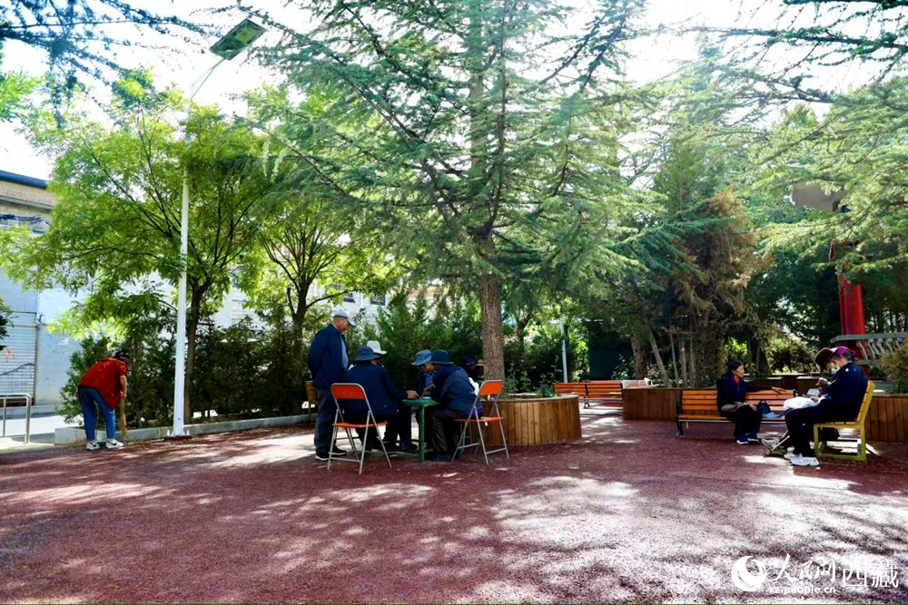 老人們在綠樹成蔭的“社區(qū)會客廳”中對弈休憩。人民網(wǎng)記者 次仁羅布攝