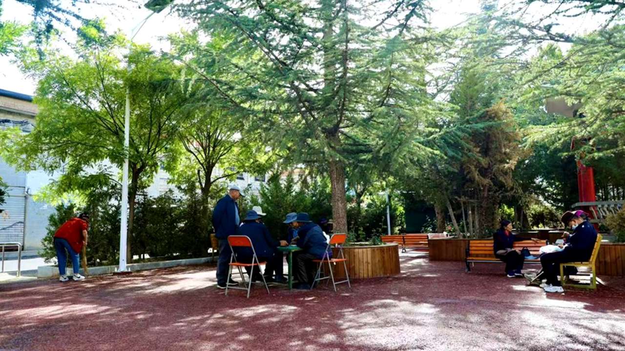 行進(jìn)中國｜從“找麻煩”到“給答案”