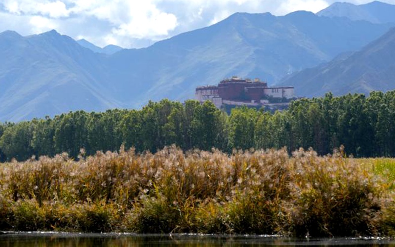 西藏拉魯濕地秋意漸濃