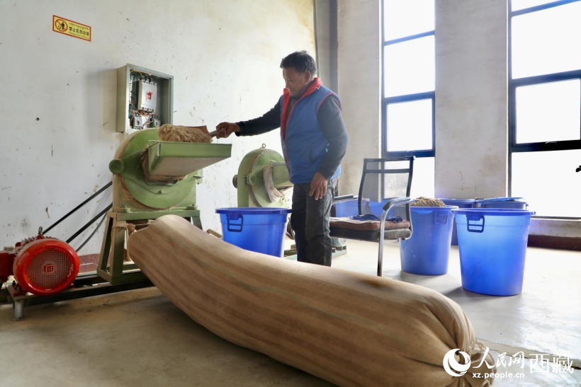 圖為藏香文化展廳內(nèi)地康巴草、杜鵑葉等珍貴藏香原材料。人民網(wǎng)記者 次仁羅布攝