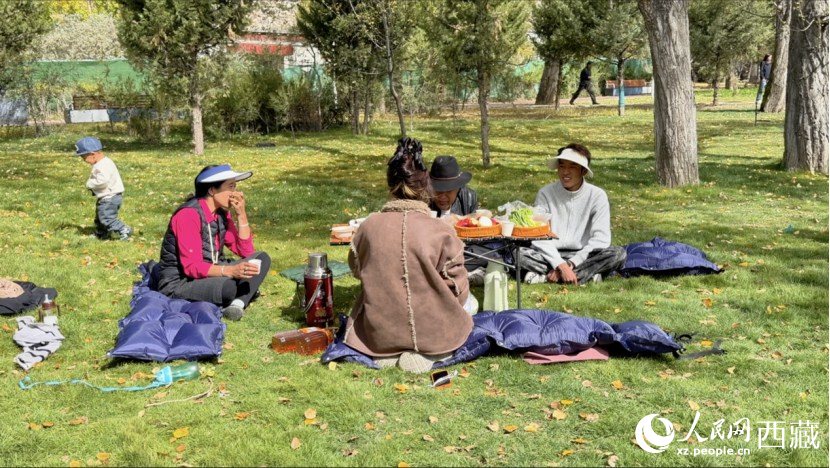 圖為市民在公園內(nèi)聚會(huì)。人民網(wǎng)記者 次仁羅布攝