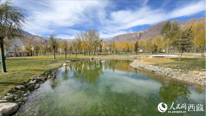 圖為青年林卡公園。人民網(wǎng)記者 次仁羅布攝