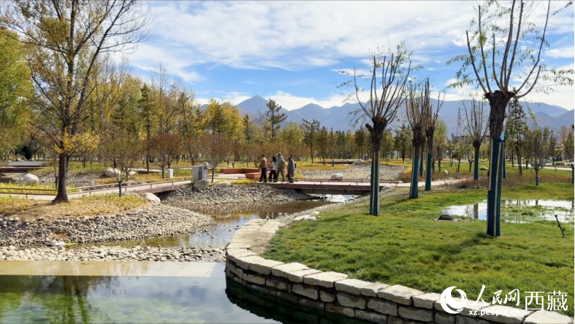 圖為青年林卡公園。人民網(wǎng)記者 次仁羅布攝