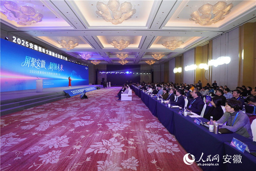 2025安徽視聽文旅融合發(fā)展大會現(xiàn)場。人民網(wǎng)記者 陳若天攝