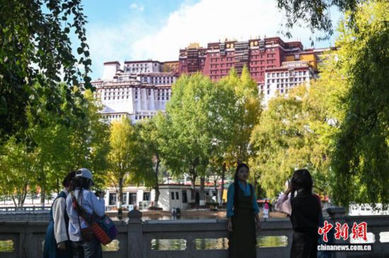 拉薩秋日:藍(lán)天襯金葉古城煥新顏