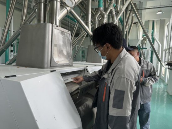 青稞谷物專用生產(chǎn)線。羅雨欣攝